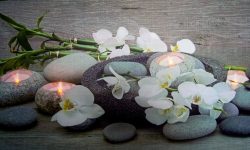 20150727-NEX-5N-06232